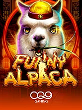 Funny Alpaca